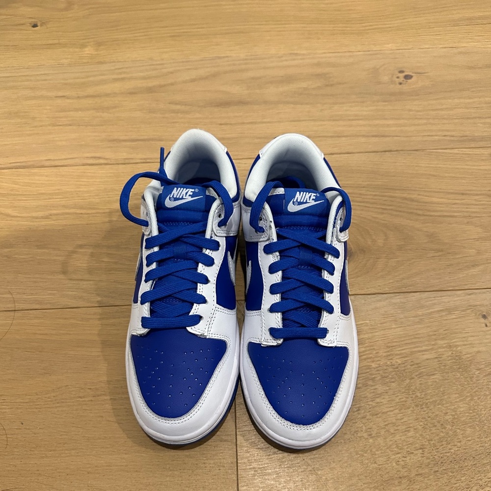 Nike Dunk Low Retro